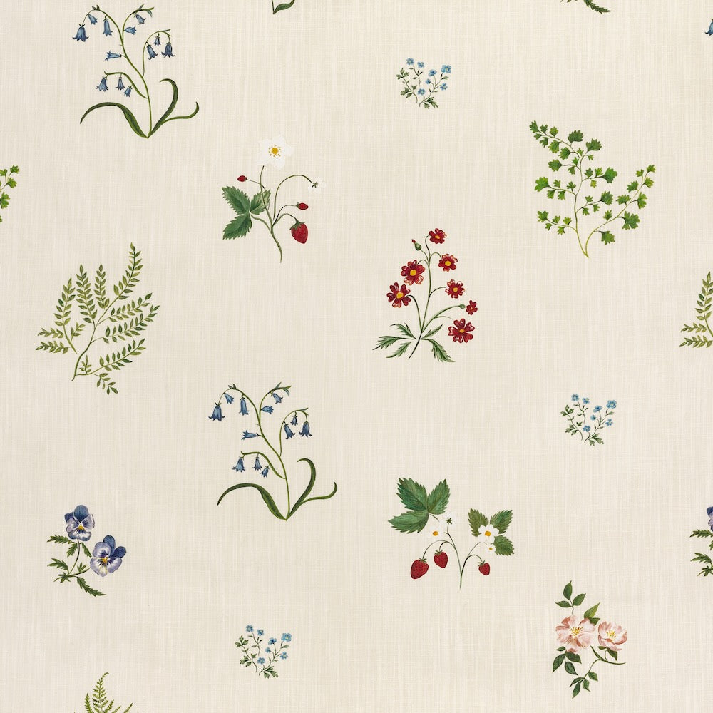 Herbarium Wildflower | TN - Ivory