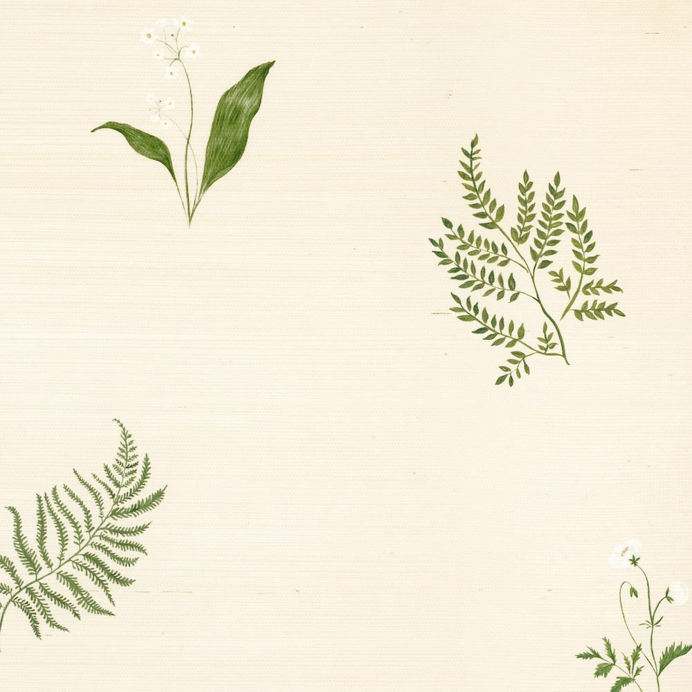 Herbarium Forest WP | TN - Ivory