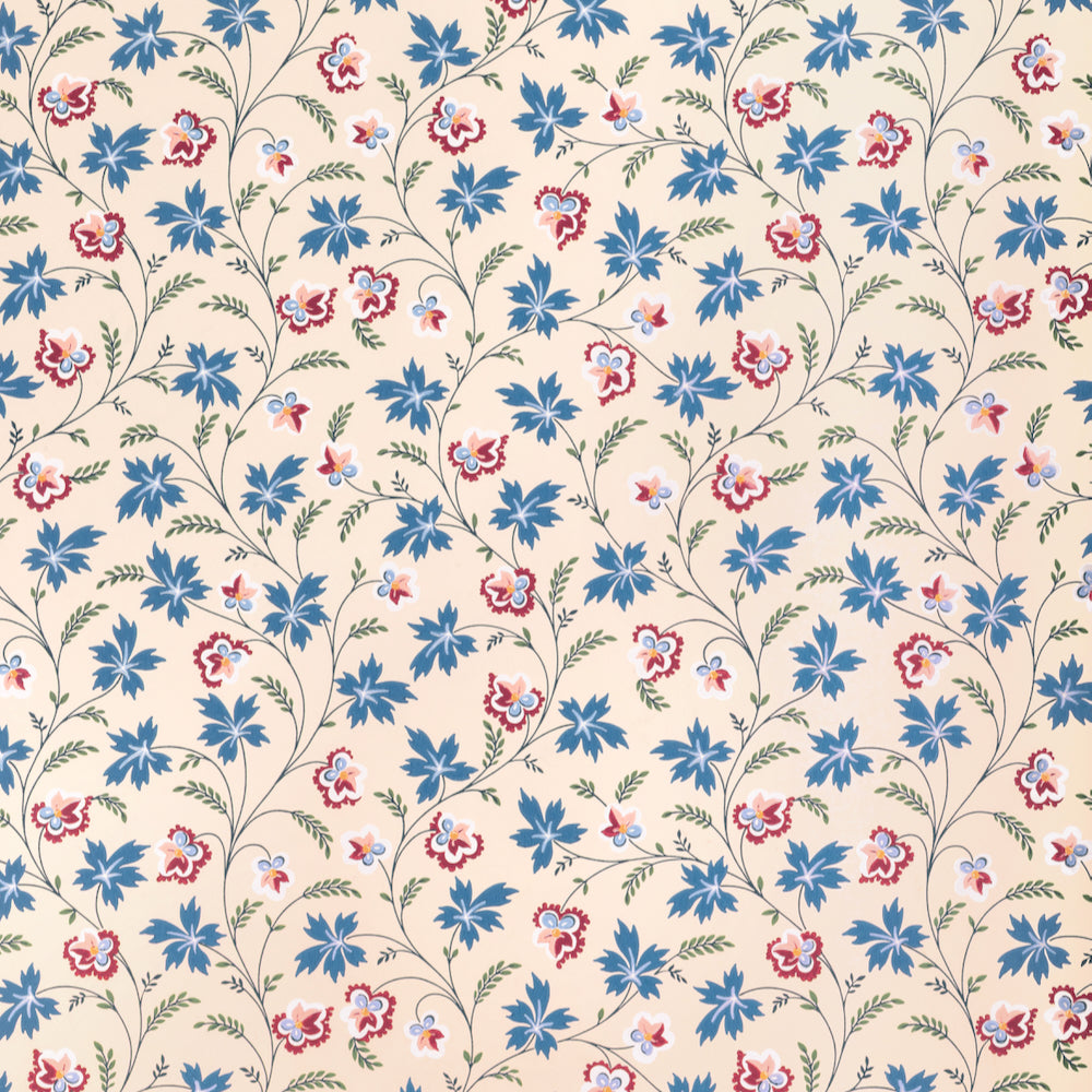 Apolline WP | TN - Cornflower