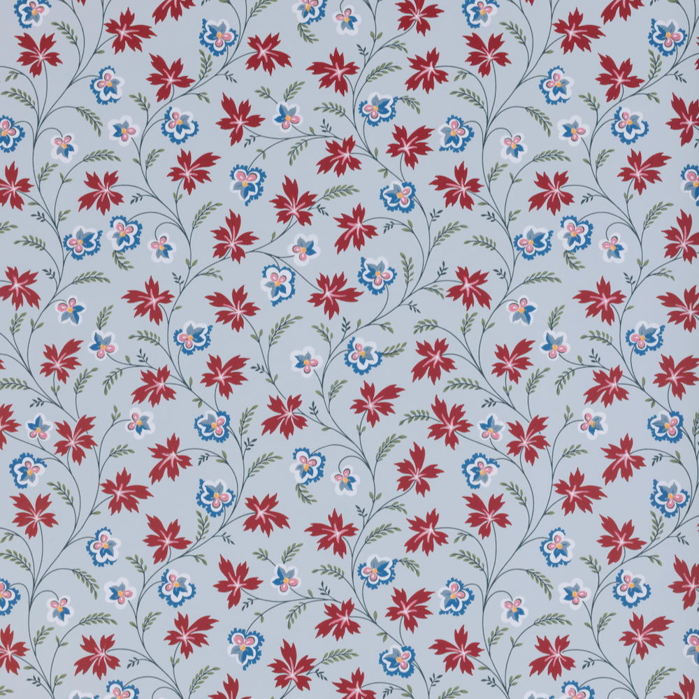 Apolline WP | TN - Poppy