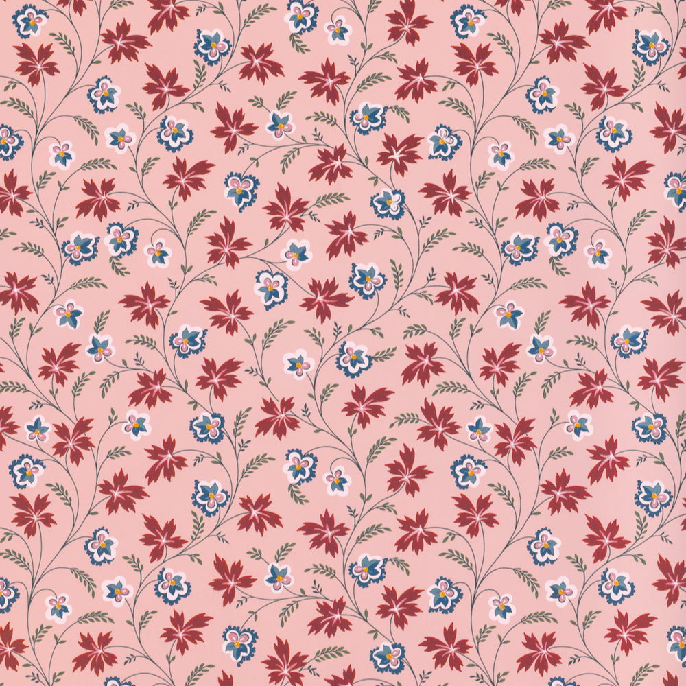 Apolline WP | TN - Rose