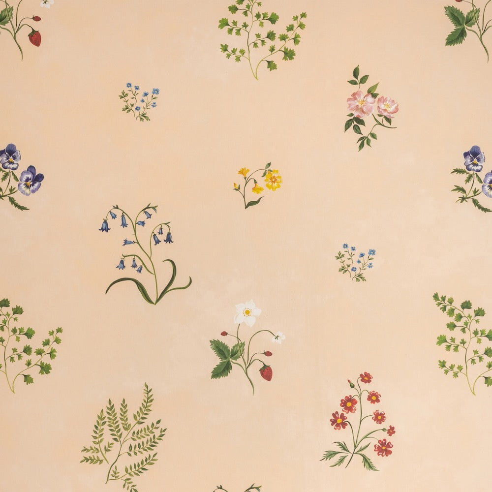 Herbarium Wildflower WP | TN - Blush