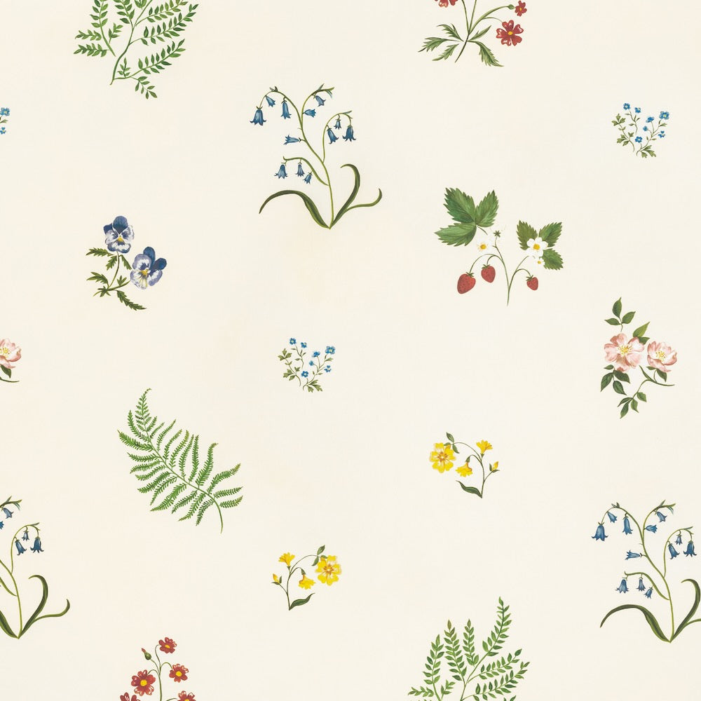 Herbarium Wildflower WP | TN - Ivory