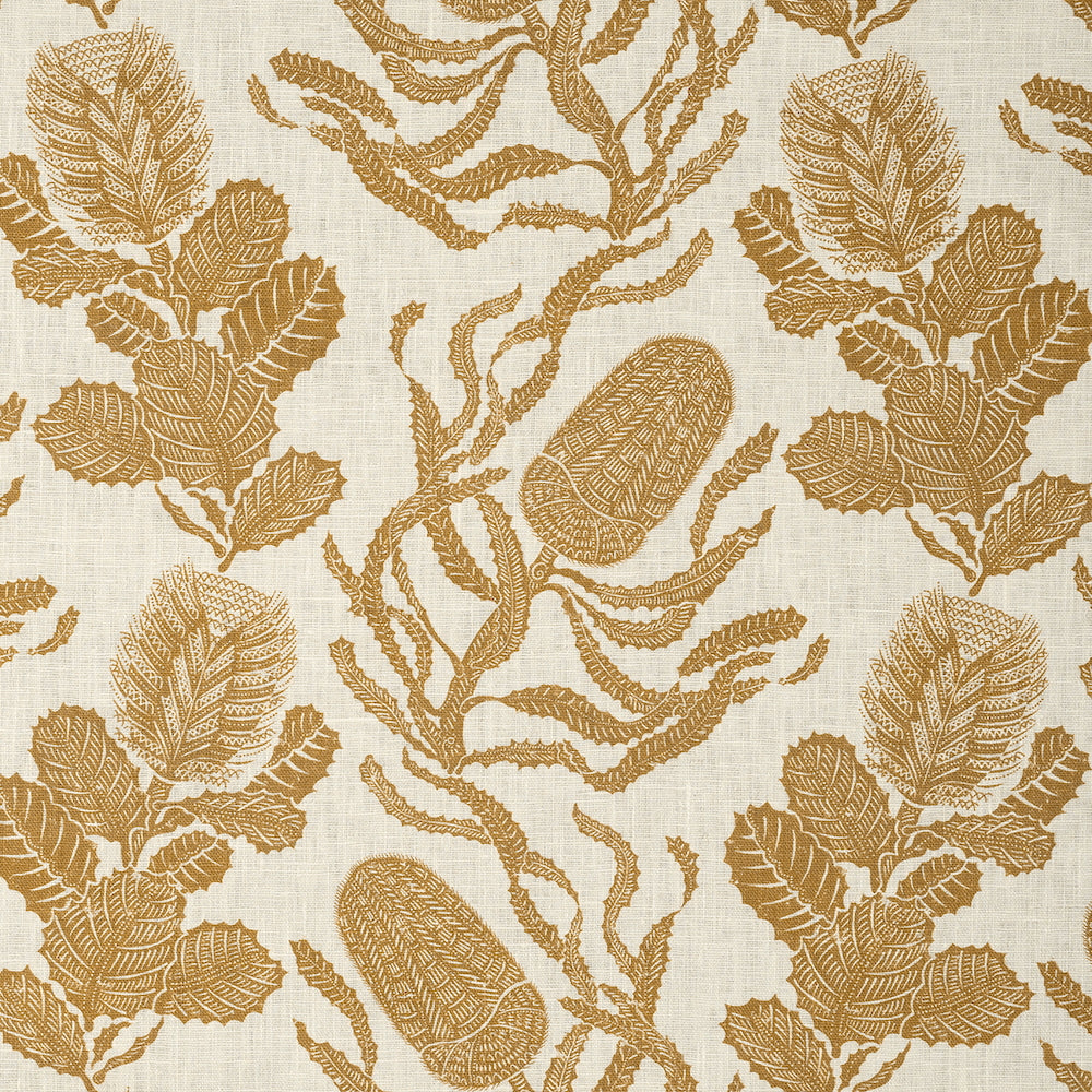 Cape Botanical WP (Paper-Backed) | VOL - Old Gold/Oyster