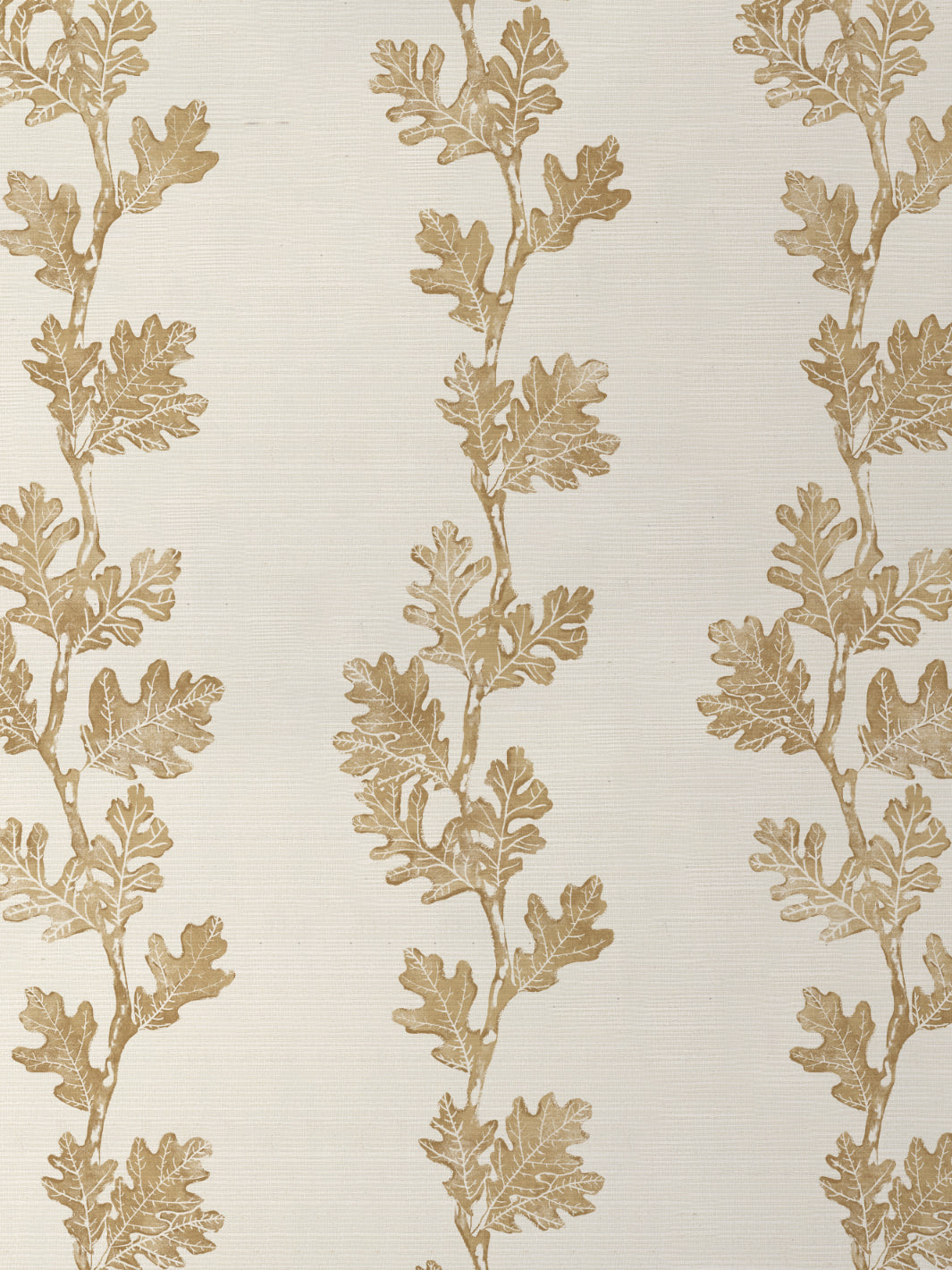 Valley Oak Stripe GC | NT - Gold