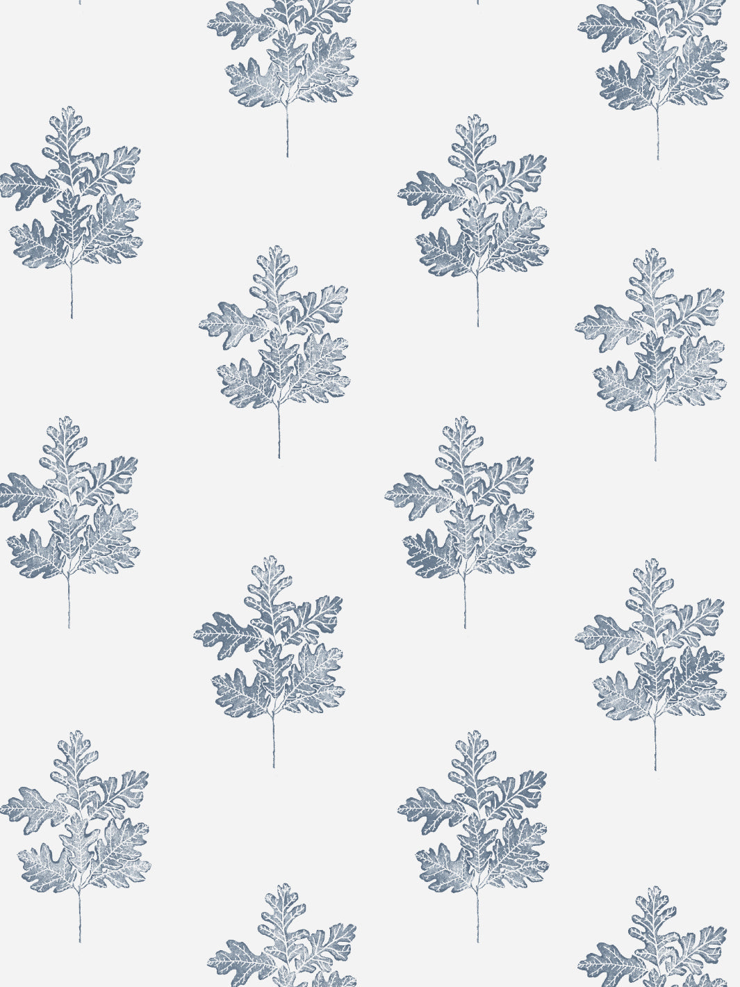 Valley Oak Leaf WP | NT - Blue