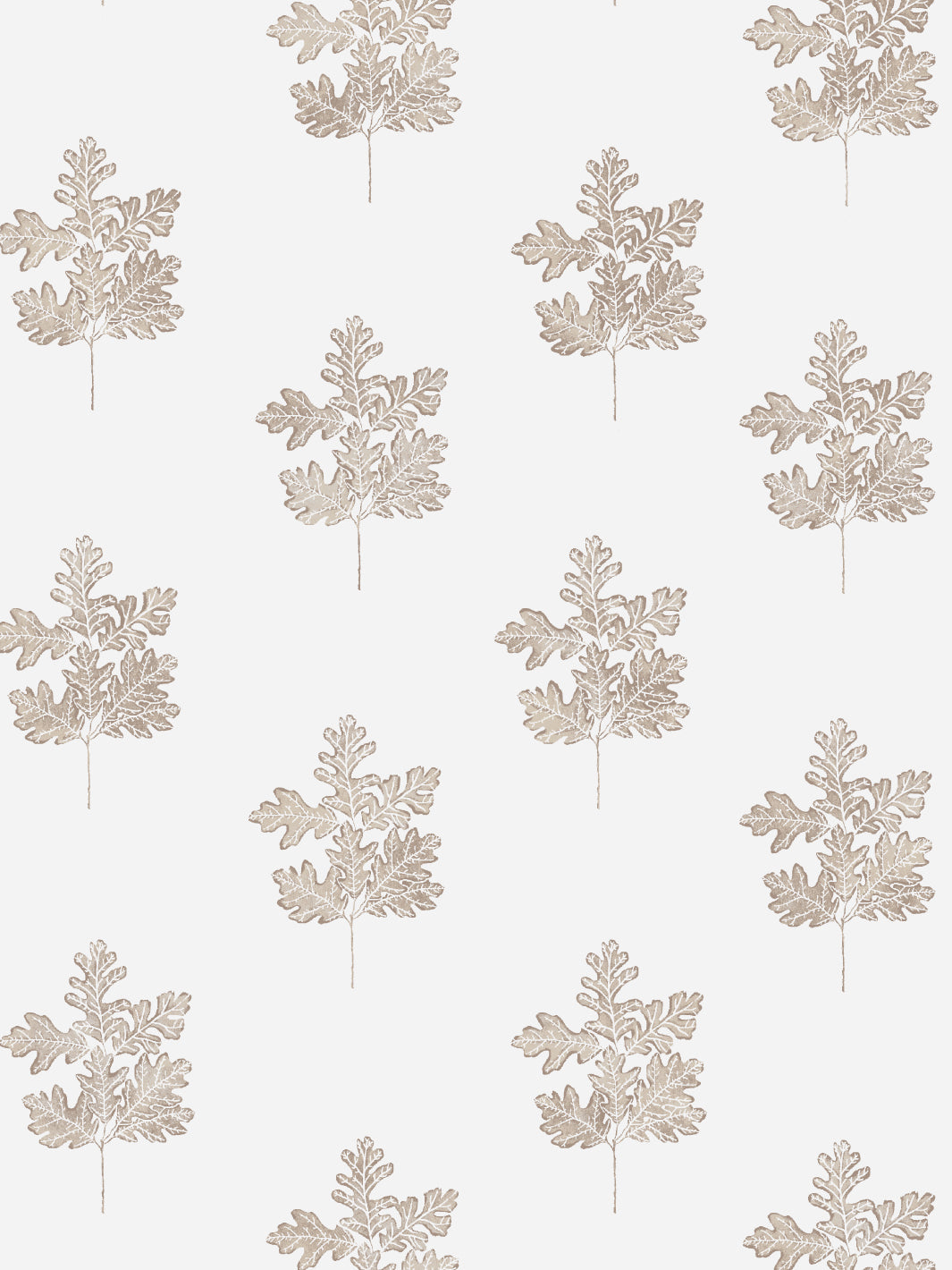 Valley Oak Leaf WP | NT - Neutral