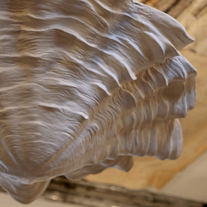 Vignette.Oyster Ceiling Pendant in Situ.LR