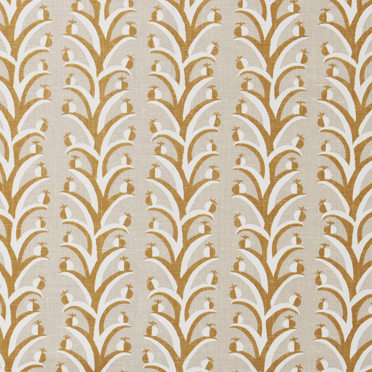 Petite Fruit | S4 - Ochre